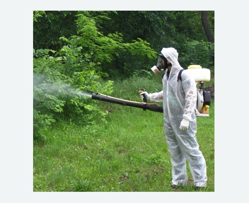 обработка дачи от клещей обработка территории от клещей в Можайске