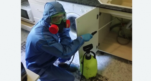 Уничтожение муравьев в квартире. Можайск