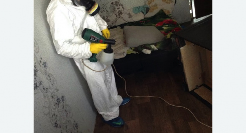 Обработка квартир от насекомых в Можайске