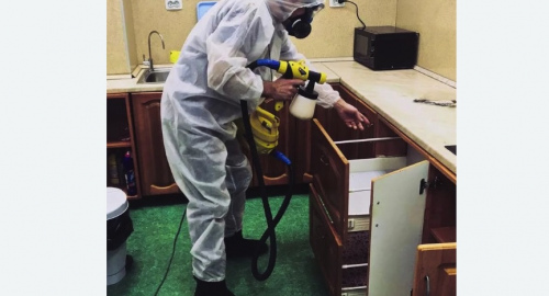 Дезинсекция квартиры. Можайск