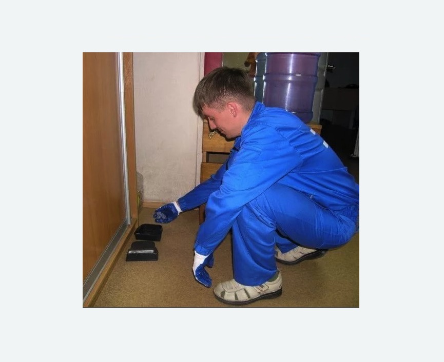 Дератизация крыс в Можайске