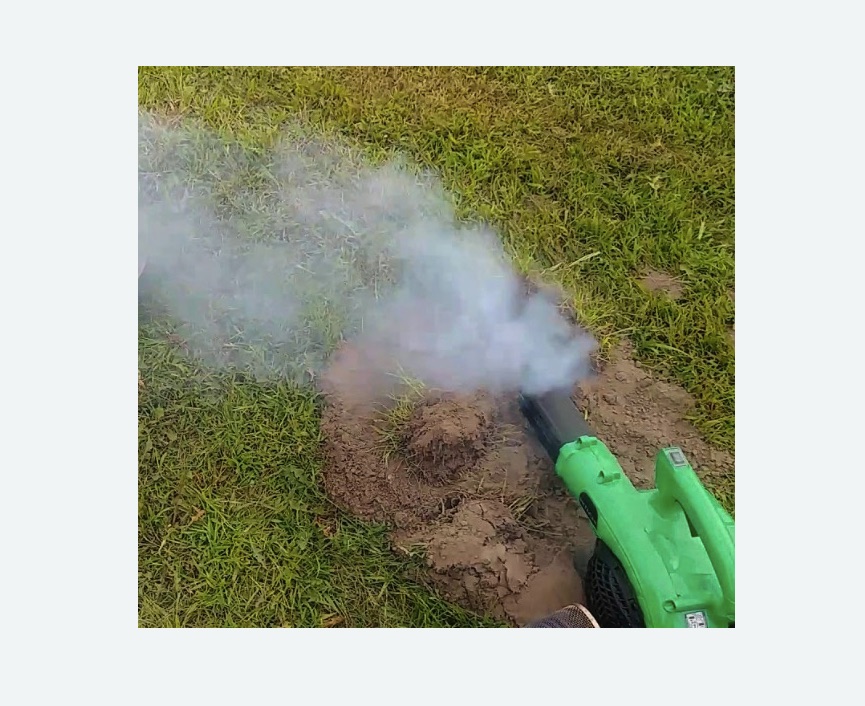 Обработка от кротов Обработка от кротов газом