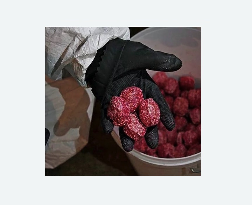 Обработка от крыс в Можайске