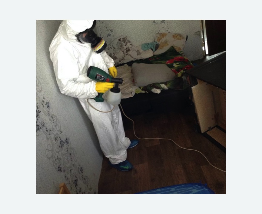 Обработка от насекомых в Можайске Обработка квартиры от насекомых