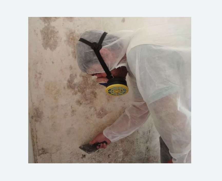 Обработка стен от плесени в Можайске