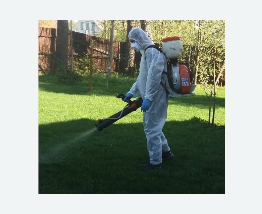 Обработка участка от клещей в Можайске Обработка участка от клещей