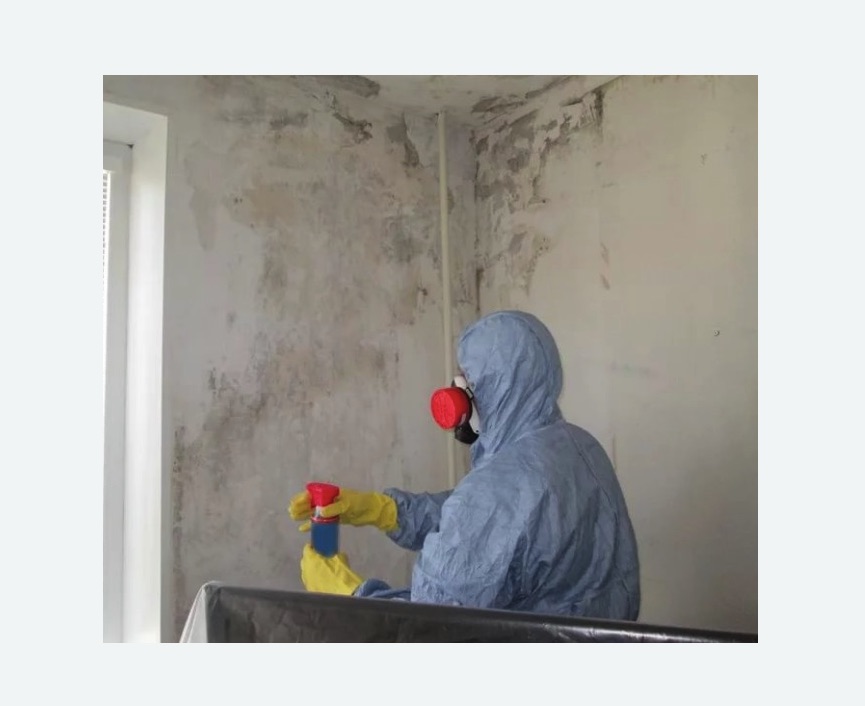 Удаление плесени в квартире в Можайске