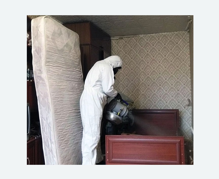 дезинфекция от клопов дезинфекция от клопов в Можайске