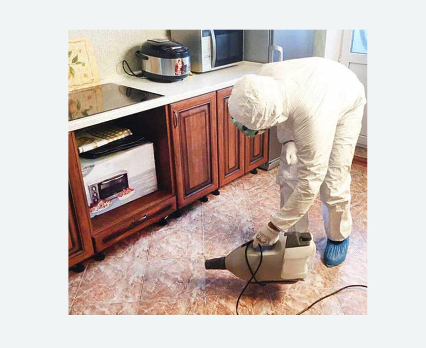 обработка квартиры от клопов в Можайске обработка квартиры от клопов