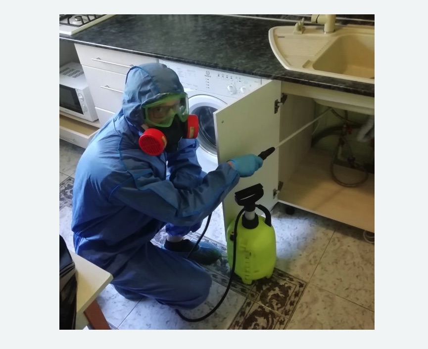 обработка от муравьев в квартире в Можайске