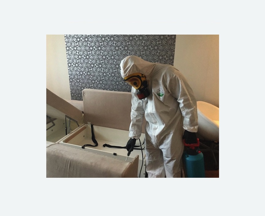 уничтожение клопов в квартире уничтожение клопов в квартире в Можайске