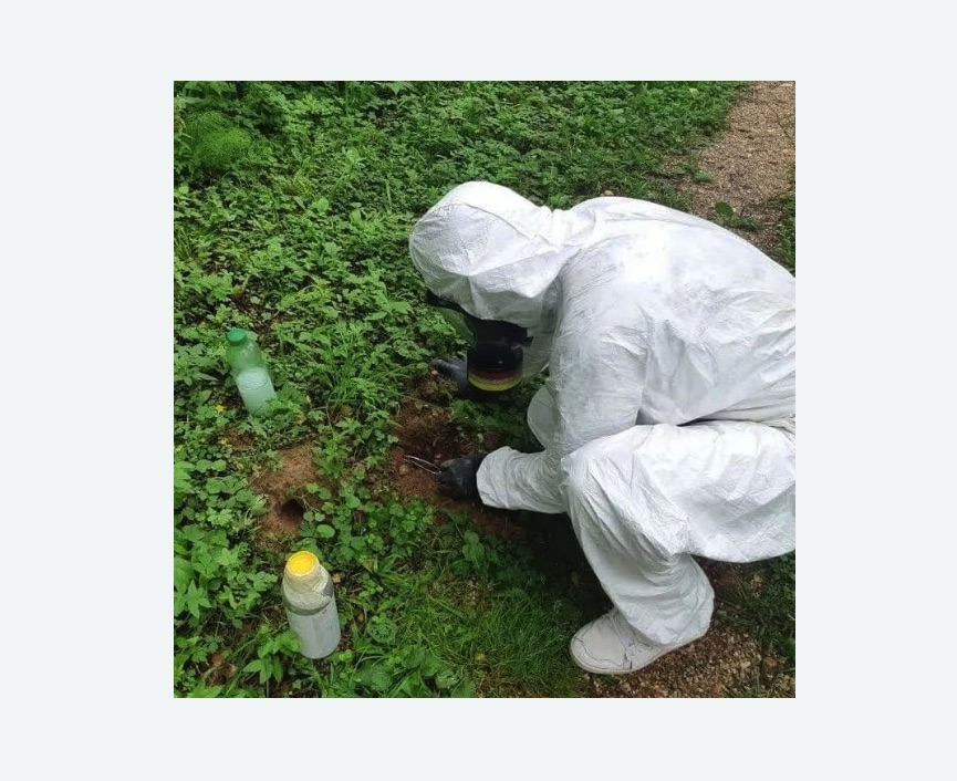 уничтожение кротов на участке уничтожение кротов на участке в Можайске