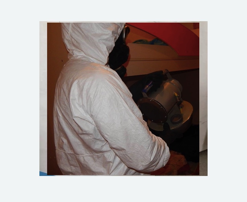 Дезинфекция от муравьев в Можайске