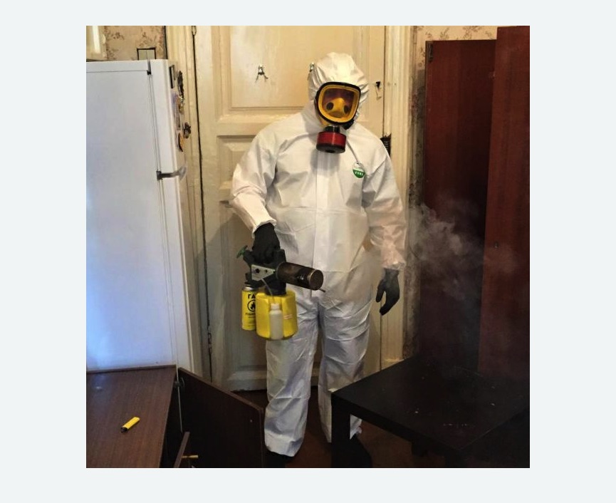 уничтожение муравьев в квартире в Можайске